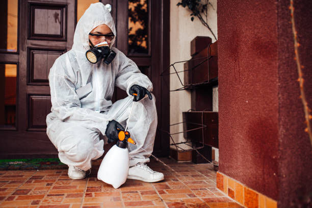 Reliable Wasp Removal contractor in Argentine, MI by Show Me Pest Control
