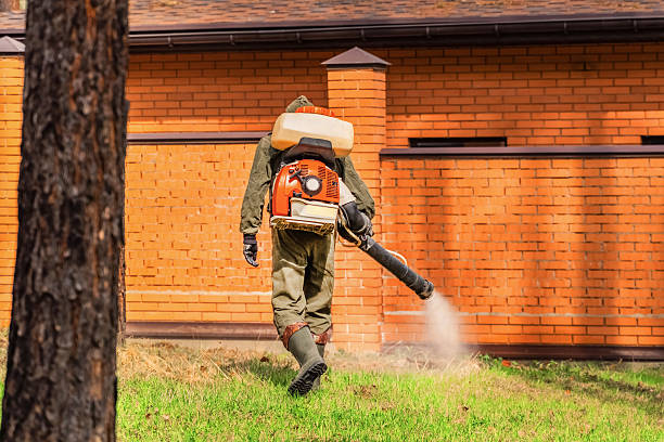 Top rated local Wasp Removal specialists in Argentine, MI